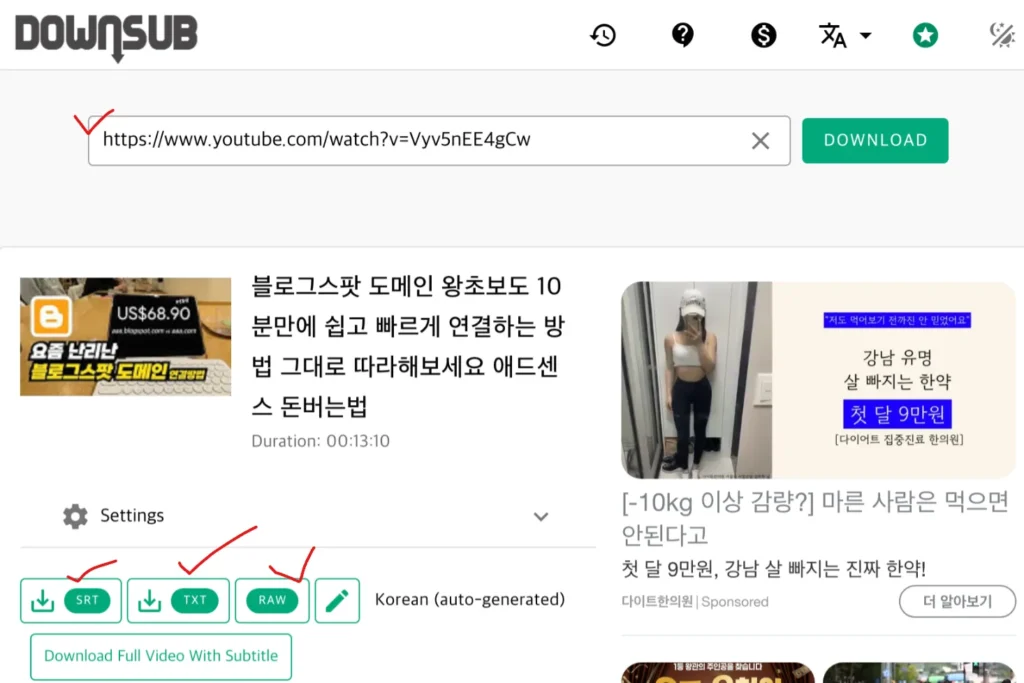DownSub 이용하여 유튜브에서 자막 추출 방법