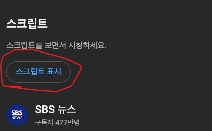유튜브 하단 더보기 스크립트 표시 버튼