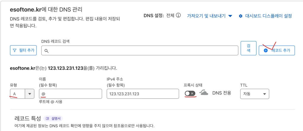 DNS A Record setting