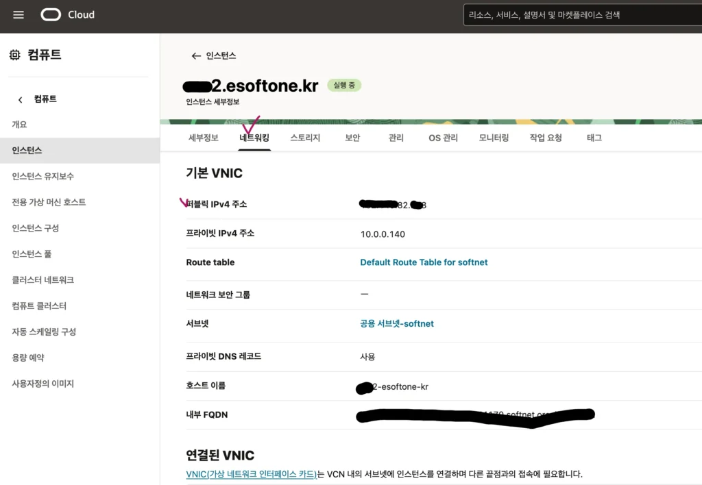 oracle cloud vm instance ip check